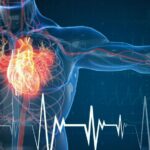 Kako zdrave masti podržavaju srce i krvne žile